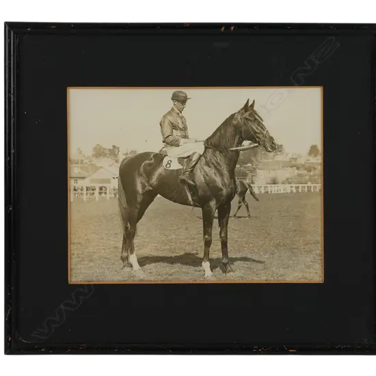 Unidentified photographer 'Race horse and jockey',